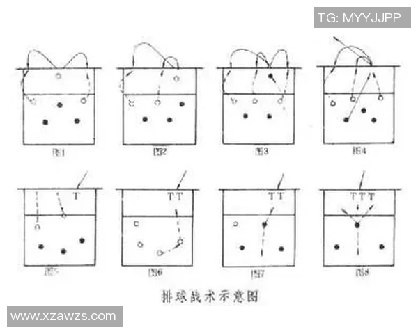 杭州排球队中路突破战术解析与实战应用探讨